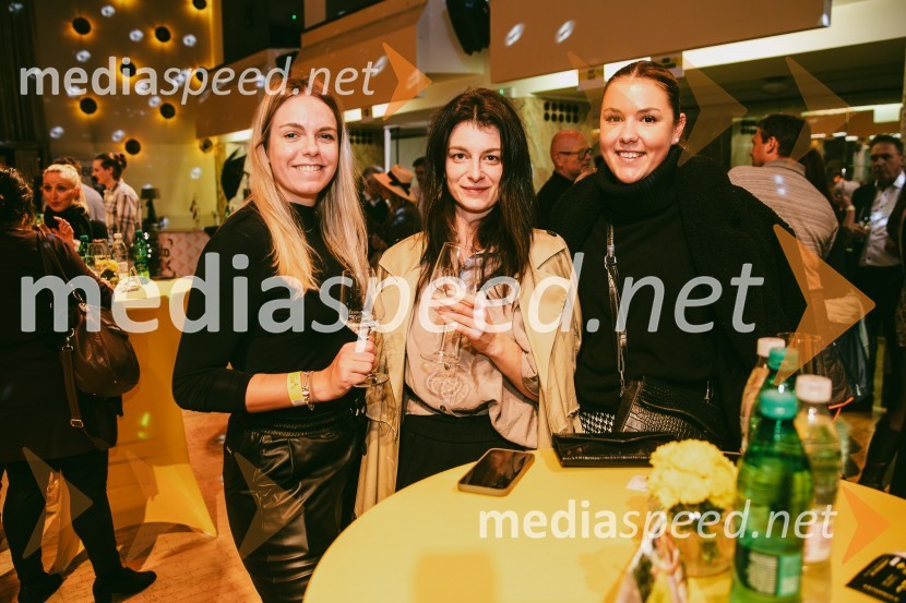 Salon štajerskih mladih vin Pubec 2024 v Ljubljani