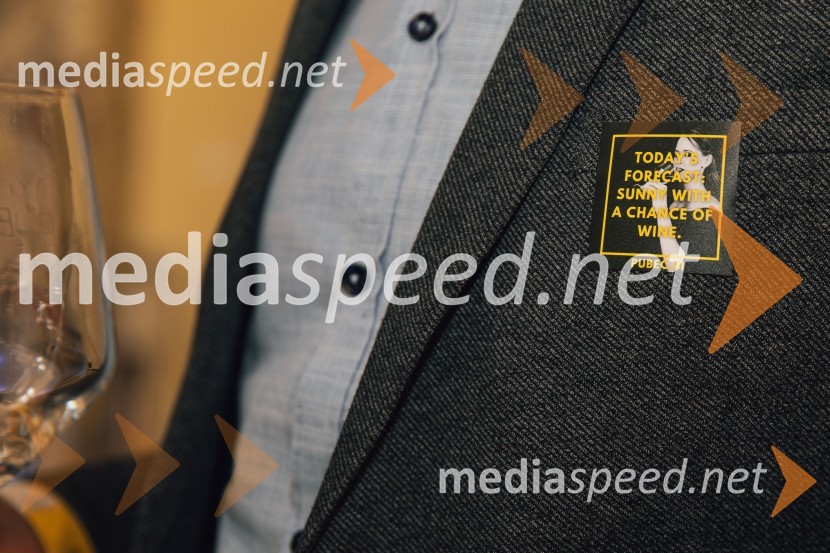 Salon štajerskih mladih vin Pubec 2024 v Ljubljani