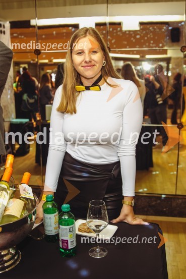 Salon štajerskih mladih vin Pubec 2024 v Ljubljani