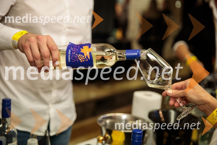 Salon štajerskih mladih vin Pubec 2024 v Ljubljani