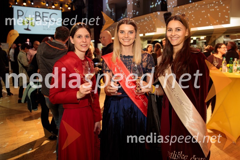  Blažka Ilovar, 25. cvičkova princesa;  Maruša Mukenauer, Vina Mukenauer, Mariborska vinska kraljica 2023 - 2025;  Aleksandra Šoronda, kraljica metliške črnine 2024Salon štajerskih mladih vin Pubec 2024 v Ljubljani