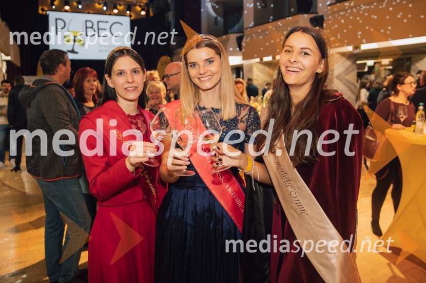  Blažka Ilovar, 25. cvičkova princesa;  Maruša Mukenauer, Vina Mukenauer, Mariborska vinska kraljica 2023 - 2025;  Aleksandra Šoronda, kraljica metliške črnine 2024Salon štajerskih mladih vin Pubec 2024 v Ljubljani