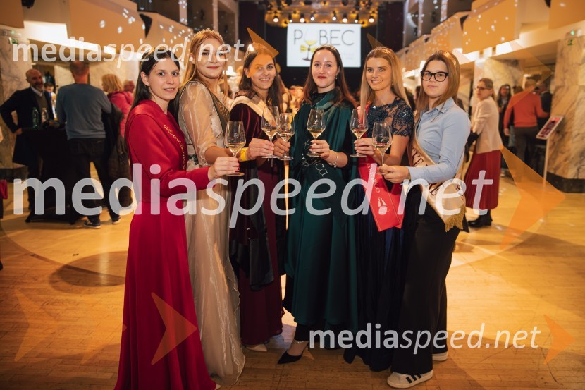  Blažka Ilovar, 25. cvičkova princesa;  Sandra Kumer, 6.vinska kraljica Jeruzalemsko ormoških goric;  Aleksandra Šoronda, kraljica metliške črnine 2024;  Ana Artnak, vinska kraljica Svete Helene;  Maruša Mukenauer, Vina Mukenauer, Mariborska vinska kraljica 2023 - 2025;  ... Salon štajerskih mladih vin Pubec 2024 v Ljubljani