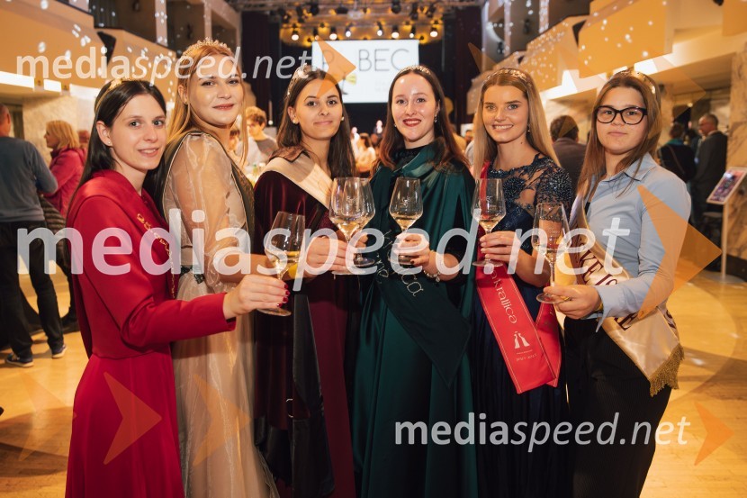  Blažka Ilovar, 25. cvičkova princesa;  Sandra Kumer, 6.vinska kraljica Jeruzalemsko ormoških goric;  Aleksandra Šoronda, kraljica metliške črnine 2024;  Ana Artnak, vinska kraljica Svete Helene;  Maruša Mukenauer, Vina Mukenauer, Mariborska vinska kraljica 2023 - 2025;  ... Salon štajerskih mladih vin Pubec 2024 v Ljubljani