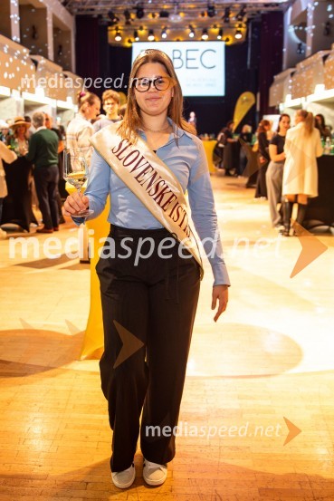 Salon štajerskih mladih vin Pubec 2024 v Ljubljani