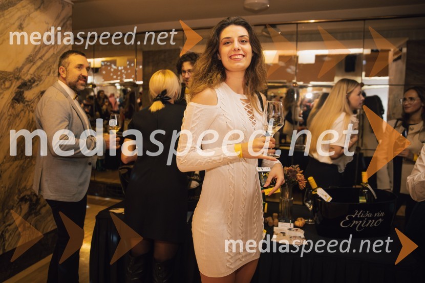 Salon štajerskih mladih vin Pubec 2024 v Ljubljani