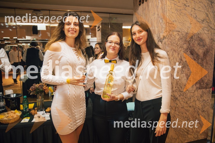 Salon štajerskih mladih vin Pubec 2024 v Ljubljani