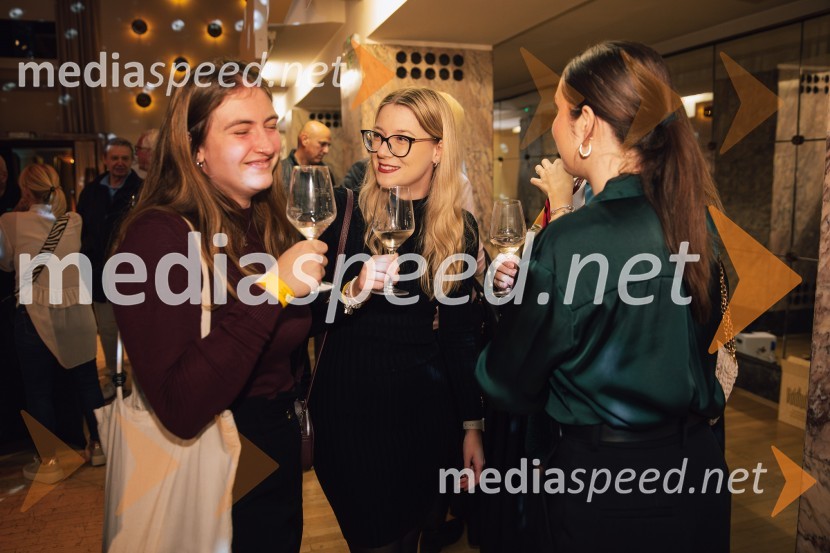 Salon štajerskih mladih vin Pubec 2024 v Ljubljani