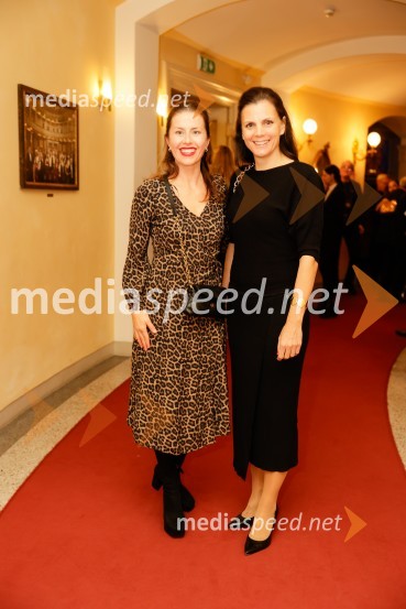 Don Kihot, premiera baleta v SNG Opera in balet Ljubljana