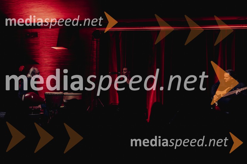 Nomad, avtorski projekt Jošta Lampreta