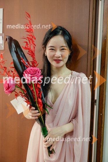  Darinka Pavlič Kamien, strokovnjakinja za komuniciranjeSimfonični orkester iz Antwerpna, koncert v Cankarjevem domu