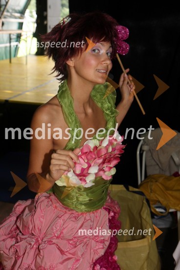 Mimine dobre vile, otroška predstavaDogajanje na 17. Festivalu Lent 2009