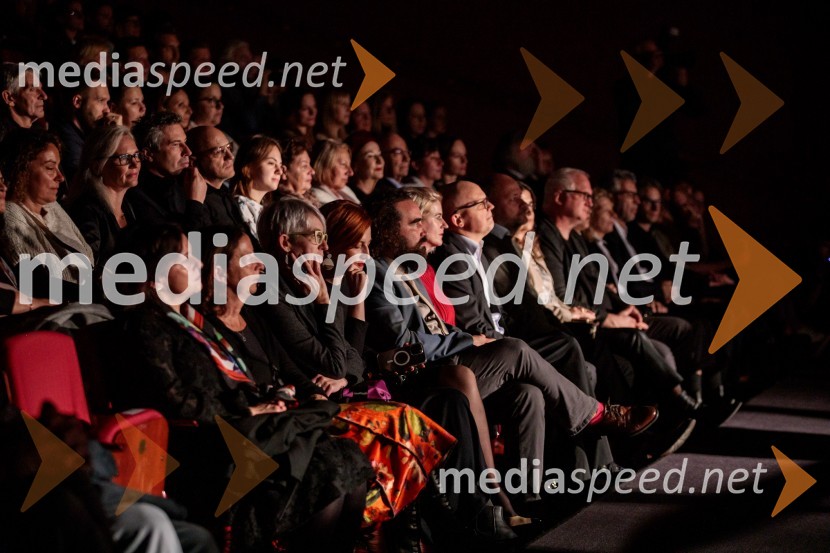 Odprtje 35. Ljubljanskega mednarodnega filmskega festivala Liffe