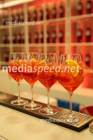 Odprtje 35. Ljubljanskega mednarodnega filmskega festivala Liffe