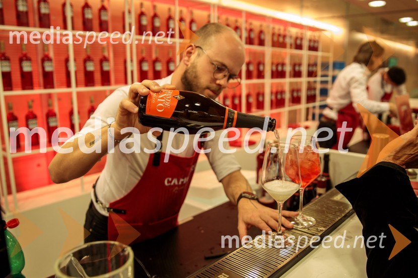 Odprtje 35. Ljubljanskega mednarodnega filmskega festivala Liffe