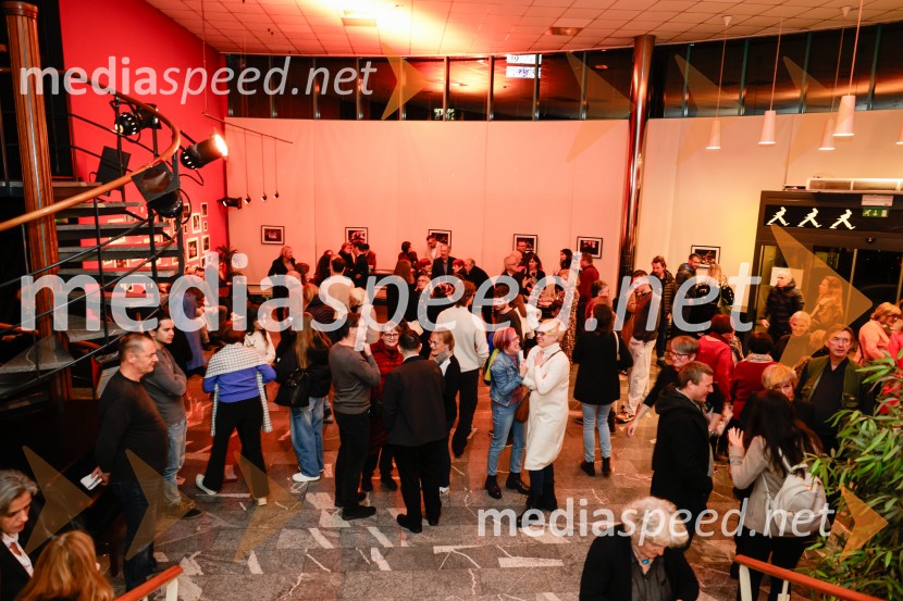 Žigan Krajnčan navdušil z orkestrom Big Band RTV Slovenija