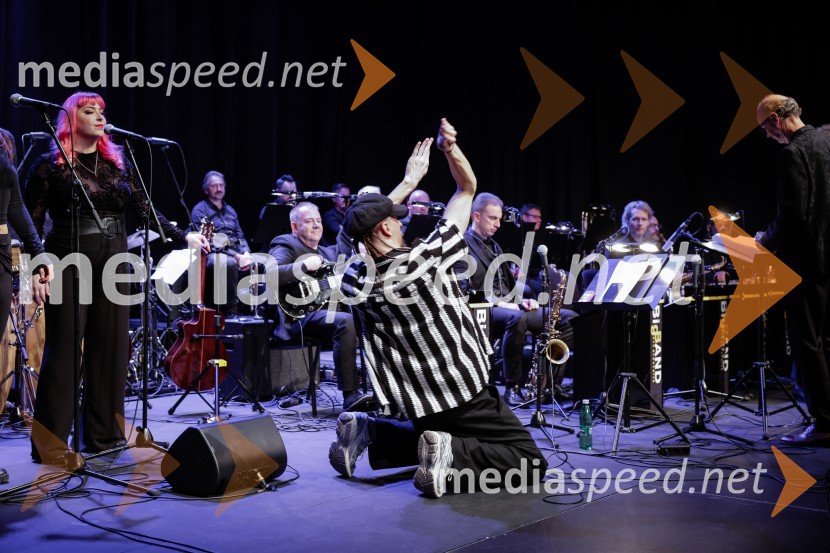 Žigan Krajnčan, igralec, plesalec, koreografŽigan Krajnčan navdušil z orkestrom Big Band RTV Slovenija
