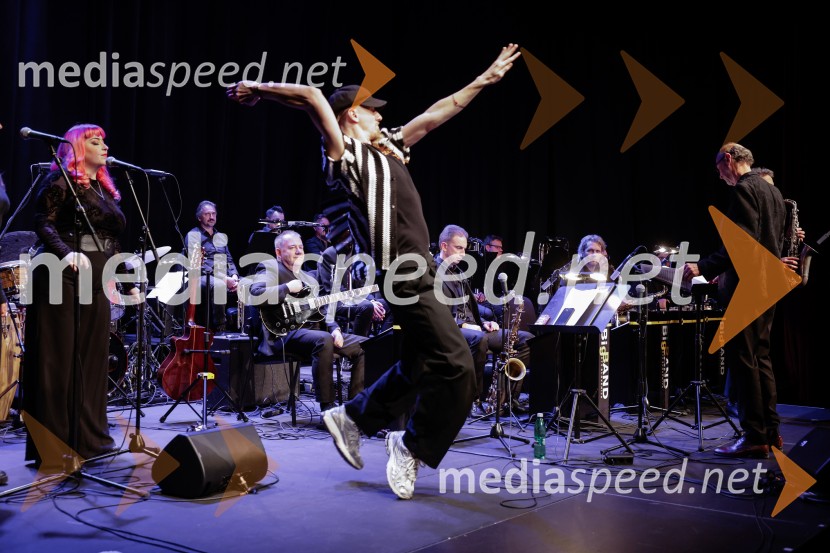  Žigan Krajnčan, igralec, plesalec, koreografŽigan Krajnčan navdušil z orkestrom Big Band RTV Slovenija