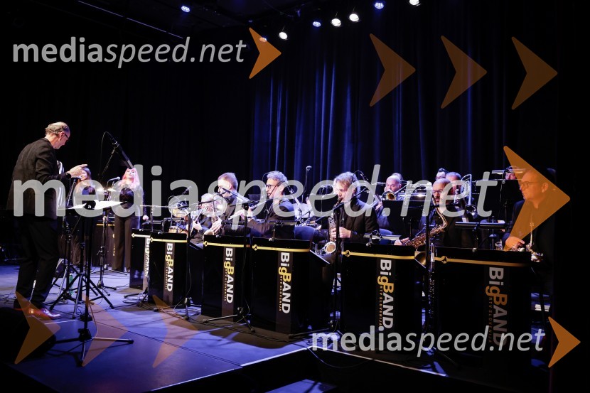 Žigan Krajnčan navdušil z orkestrom Big Band RTV Slovenija