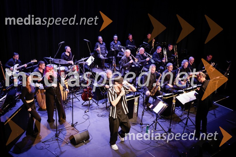 Žigan Krajnčan navdušil z orkestrom Big Band RTV Slovenija