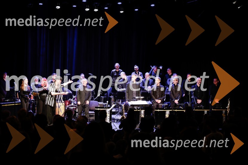 Žigan Krajnčan navdušil z orkestrom Big Band RTV Slovenija