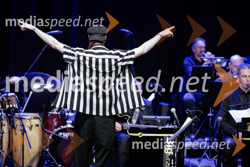  Žigan Krajnčan, igralec, plesalec, koreografŽigan Krajnčan navdušil z orkestrom Big Band RTV Slovenija