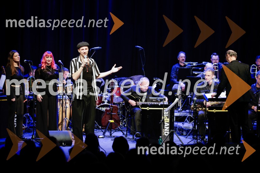  Žigan Krajnčan, igralec, plesalec, koreografŽigan Krajnčan navdušil z orkestrom Big Band RTV Slovenija