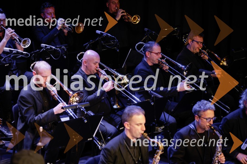Žigan Krajnčan navdušil z orkestrom Big Band RTV Slovenija
