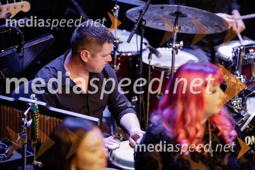 Žigan Krajnčan navdušil z orkestrom Big Band RTV Slovenija