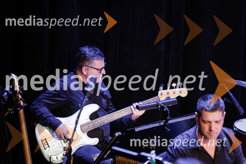 Žigan Krajnčan navdušil z orkestrom Big Band RTV Slovenija