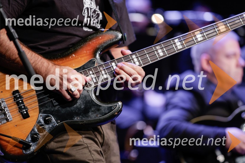 Žigan Krajnčan navdušil z orkestrom Big Band RTV Slovenija