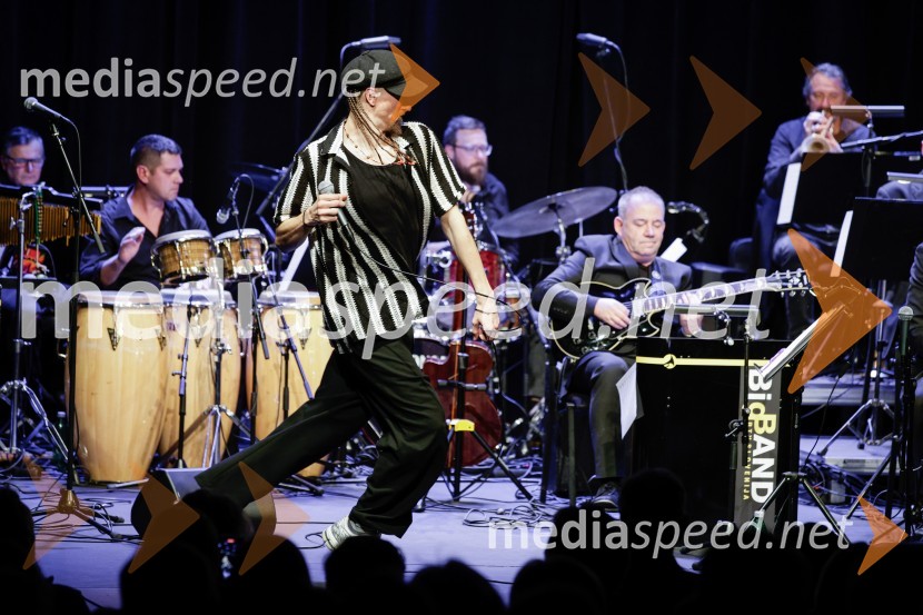  Žigan Krajnčan, igralec, plesalec, koreografŽigan Krajnčan navdušil z orkestrom Big Band RTV Slovenija