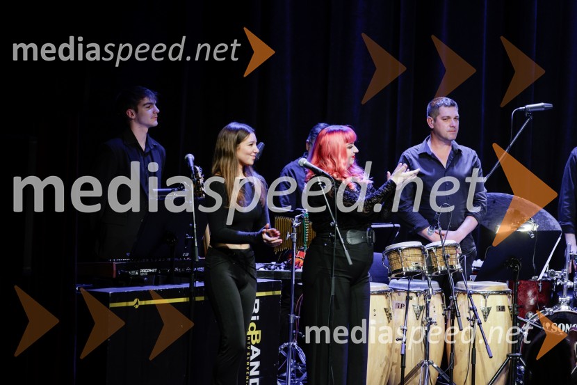 Žigan Krajnčan navdušil z orkestrom Big Band RTV Slovenija