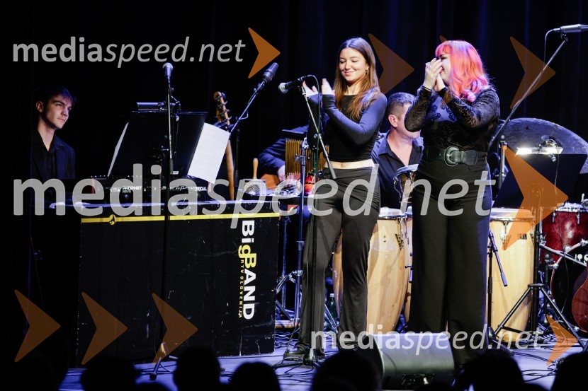 Žigan Krajnčan navdušil z orkestrom Big Band RTV Slovenija