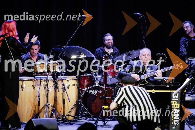 Žigan Krajnčan navdušil z orkestrom Big Band RTV Slovenija