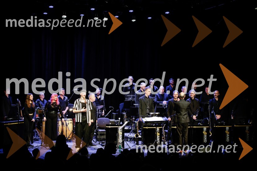 Žigan Krajnčan navdušil z orkestrom Big Band RTV Slovenija