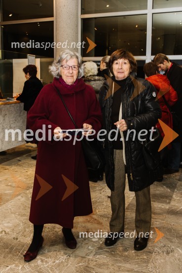 V iskanju izgubljenega jezika, premiera v SNG Nova Gorica