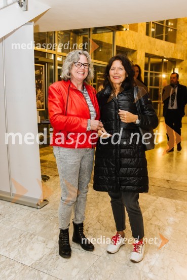 V iskanju izgubljenega jezika, premiera v SNG Nova Gorica