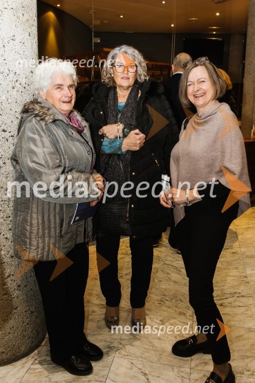 V iskanju izgubljenega jezika, premiera v SNG Nova Gorica