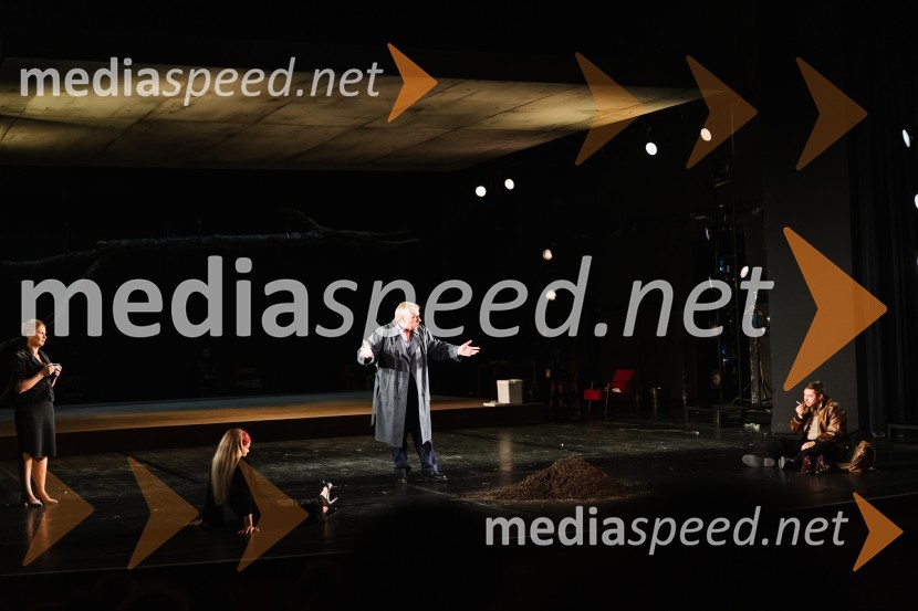 V iskanju izgubljenega jezika, premiera v SNG Nova Gorica