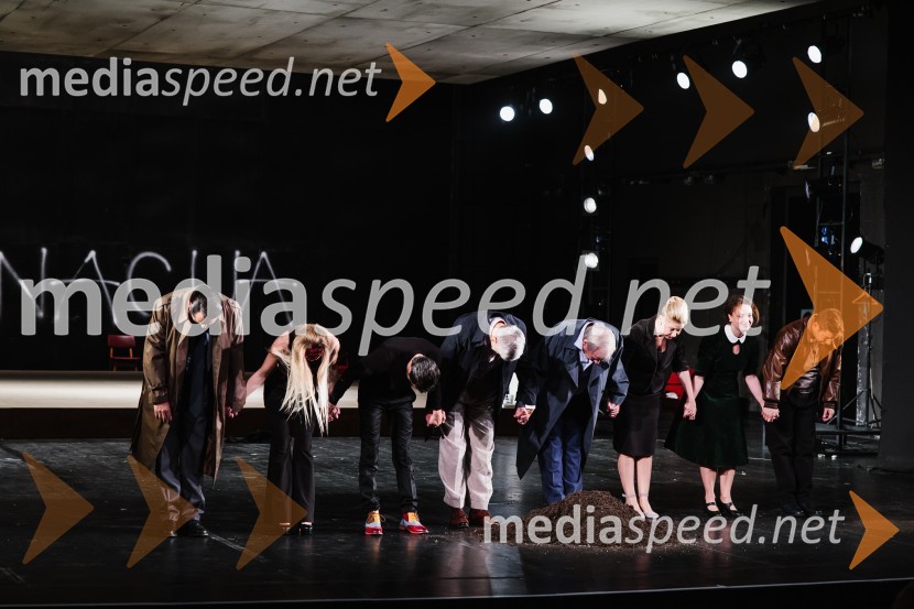 V iskanju izgubljenega jezika, premiera v SNG Nova Gorica