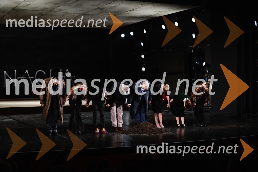 V iskanju izgubljenega jezika, premiera v SNG Nova Gorica