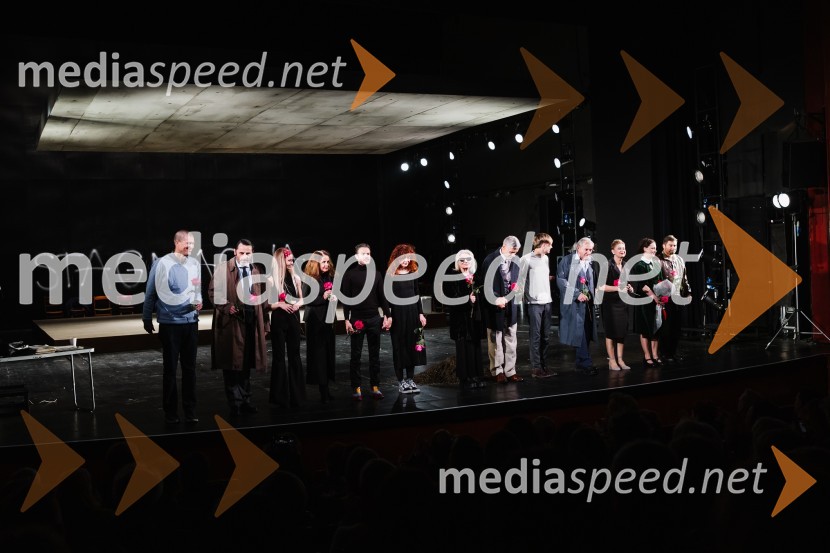 V iskanju izgubljenega jezika, premiera v SNG Nova Gorica