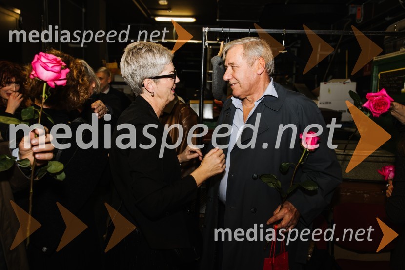 V iskanju izgubljenega jezika, premiera v SNG Nova Gorica