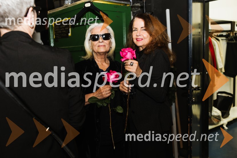 V iskanju izgubljenega jezika, premiera v SNG Nova Gorica