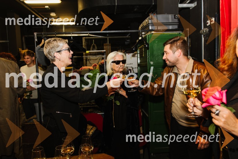 V iskanju izgubljenega jezika, premiera v SNG Nova Gorica