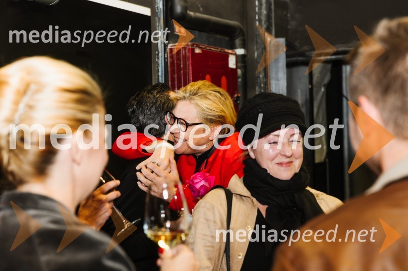 V iskanju izgubljenega jezika, premiera v SNG Nova Gorica