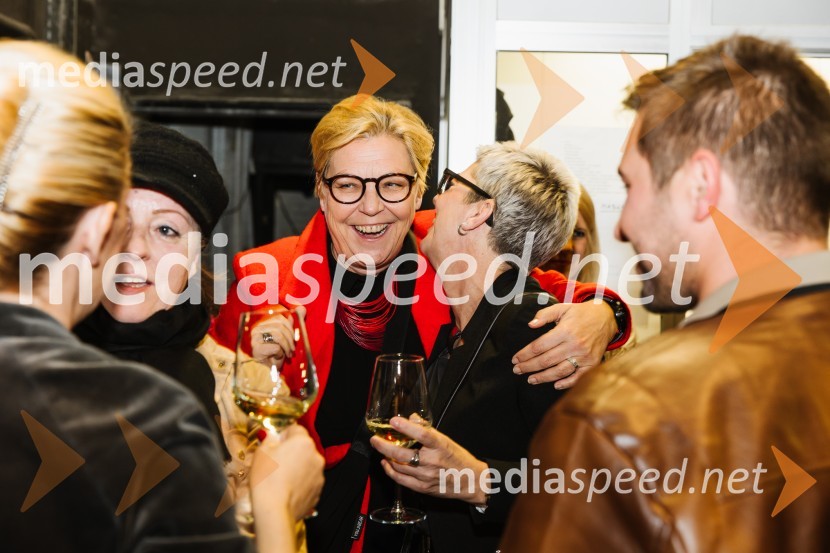 V iskanju izgubljenega jezika, premiera v SNG Nova Gorica