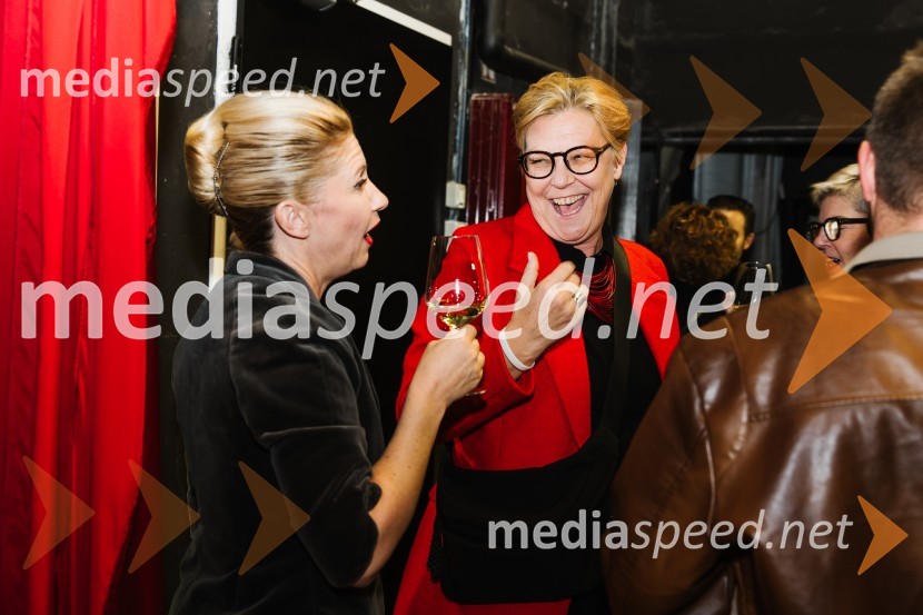 V iskanju izgubljenega jezika, premiera v SNG Nova Gorica