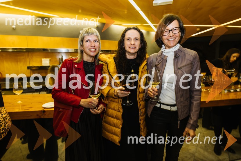 V iskanju izgubljenega jezika, premiera v SNG Nova Gorica